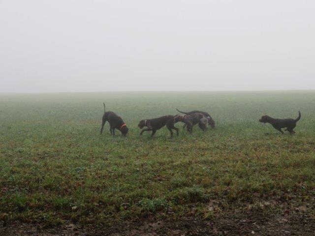 Gruppe